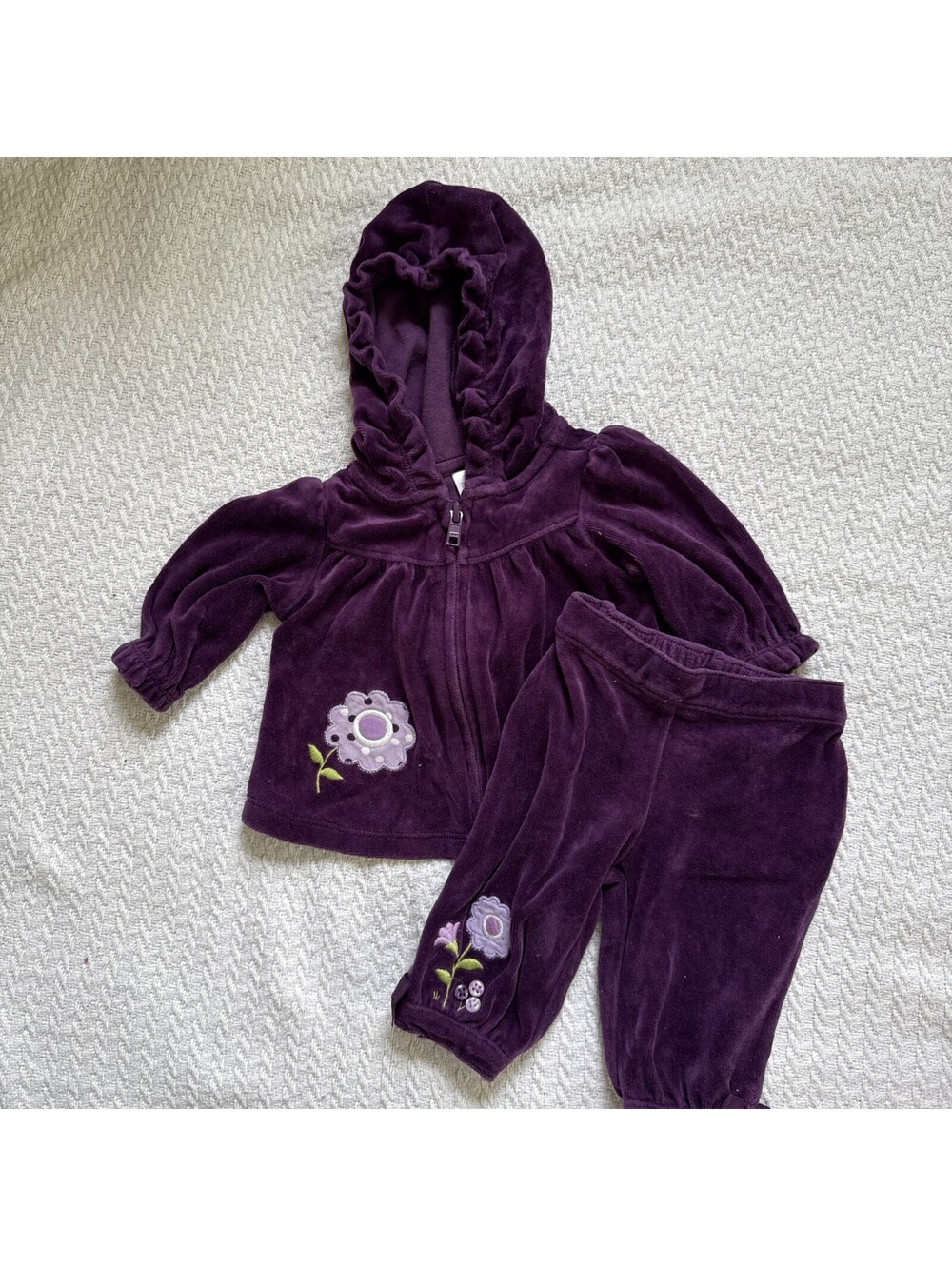 Gymboree 2013 Squirrel Cutie velour zip hooded jacket pants set 0-3M